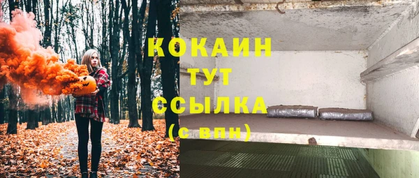 дживик Армянск